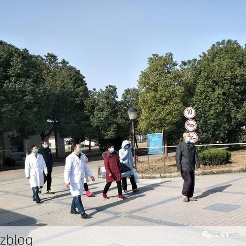 本地确诊+2，肥东县通报新增病例情况