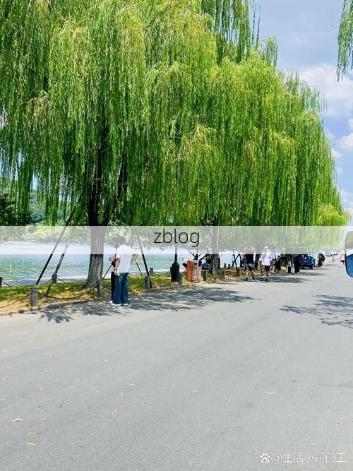 西湖涟漪与钱塘潮涌：杭州疫情下的地理屏障与防控张力