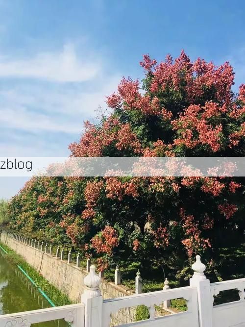 利辛：皖北平原上的疫情阻击战_13556