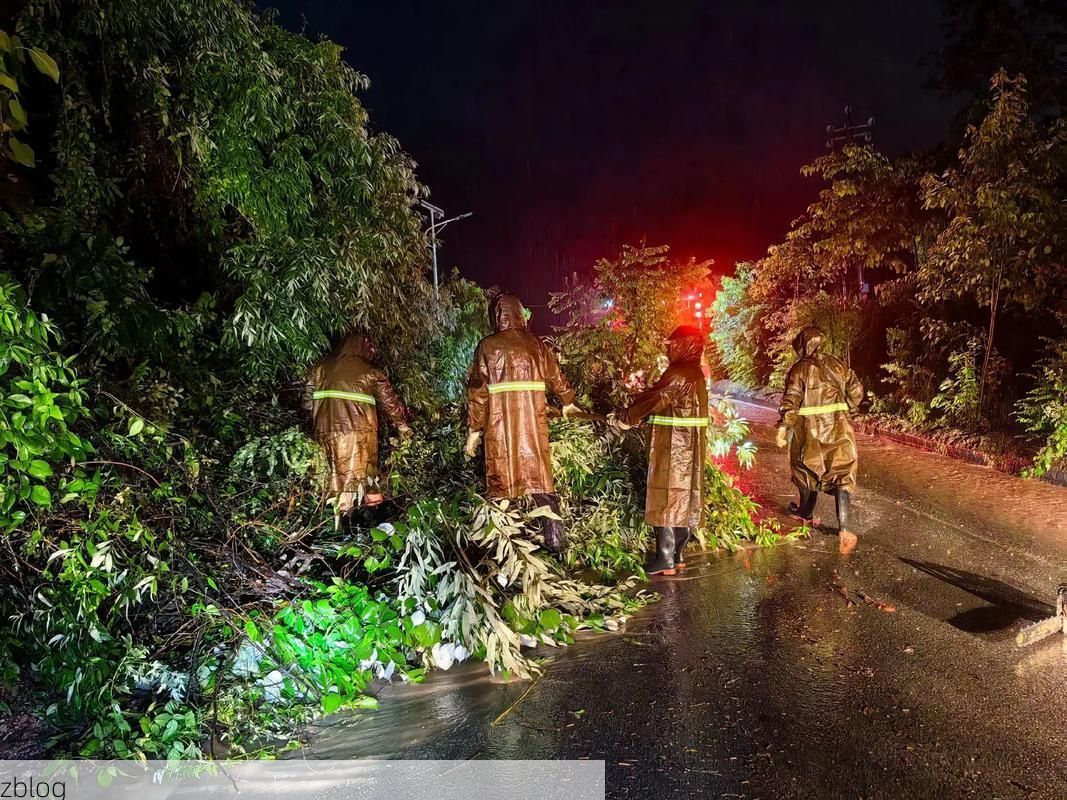 南充疫情：嘉陵江畔的防控拉锯战