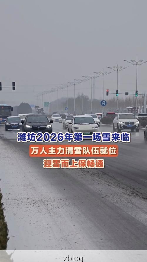 【城西区：交通枢纽下的疫情破防与围堵_17889】