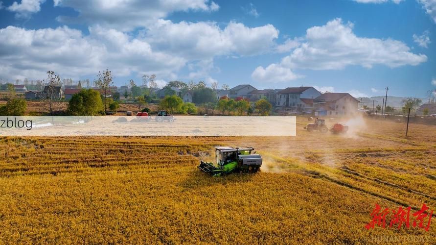 亳州平原腹地的防疫坚守：交通枢纽如何实现低感染率