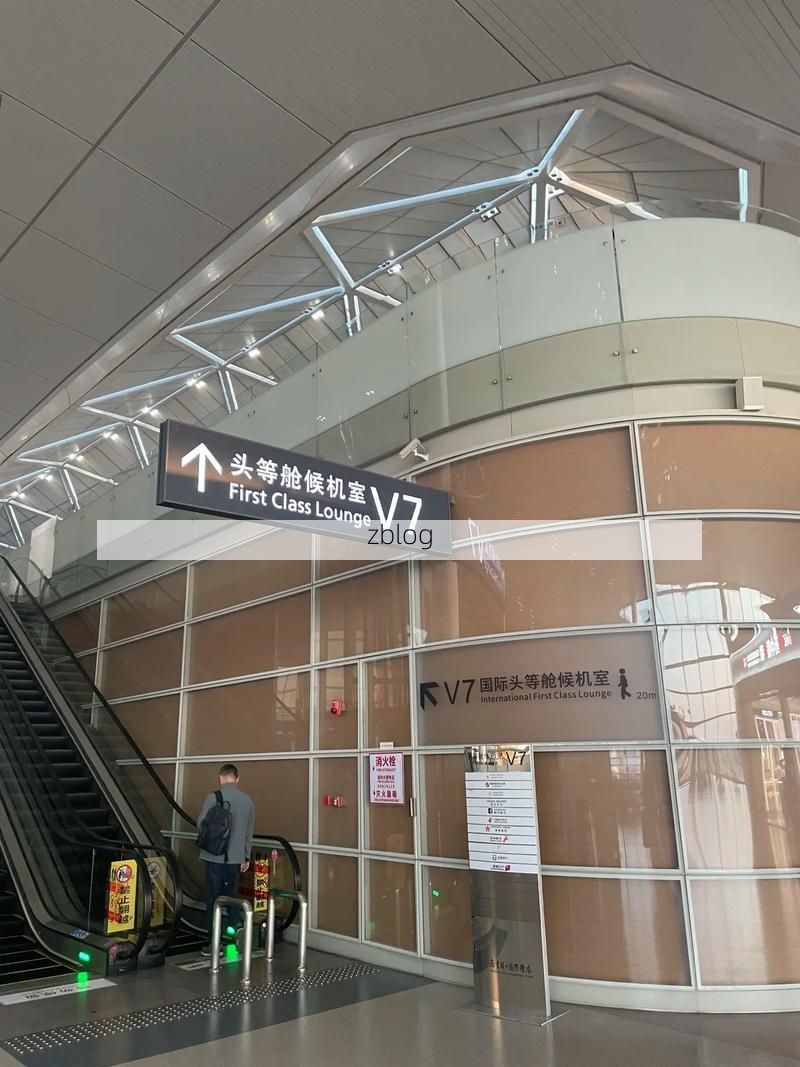 南京禄口机场破防：一座交通枢纽的疫情阻击战