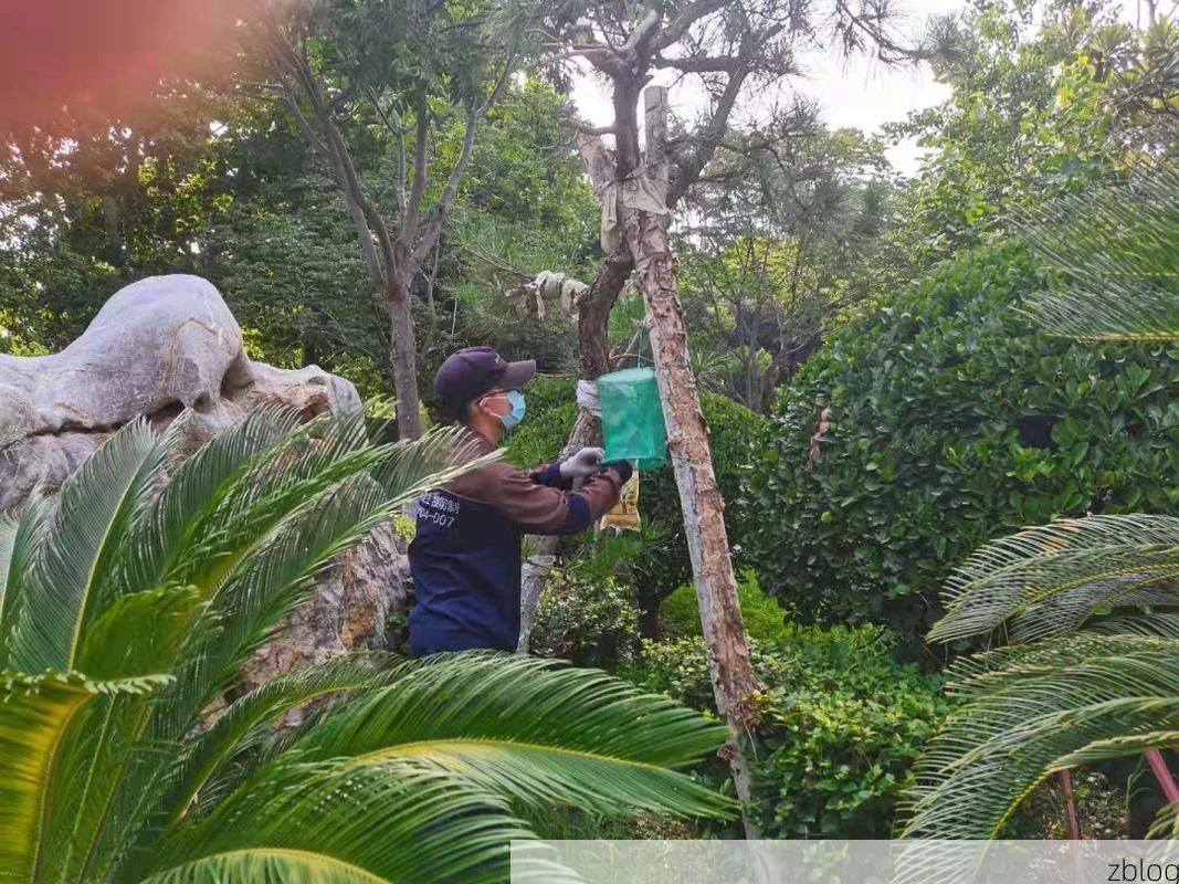 永新：山区屏障下的疫情数据与防控逻辑