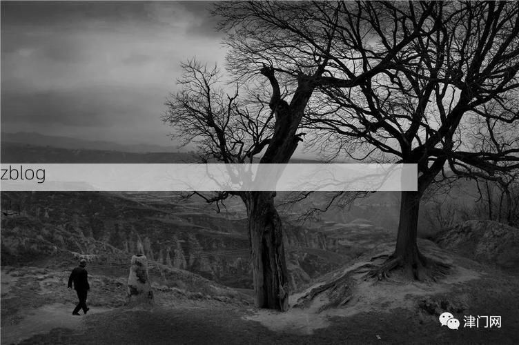 右玉：晋北风口上的低感染率样本