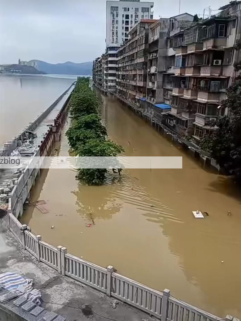 安岳：川东丘陵间的疫情防波堤