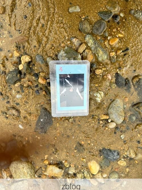 翁源：粤北生态屏障下的疫情低发区观察