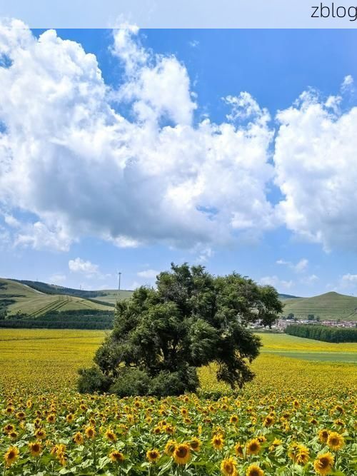 前郭尔罗斯：草原县城的零感染坚守与交通线压力