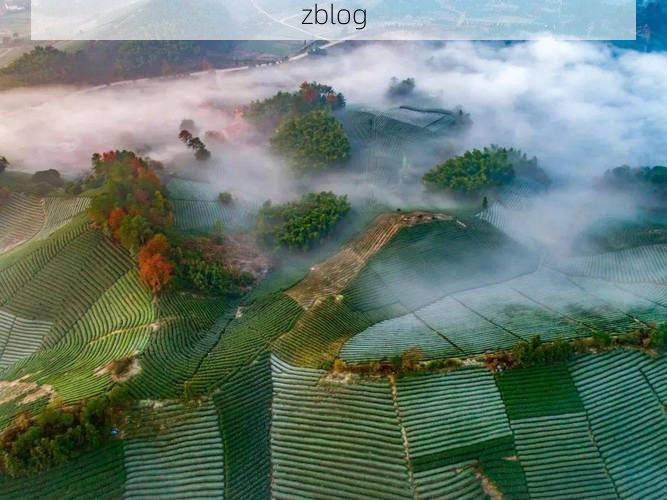 武义：温泉小城的疫情防波堤_58670