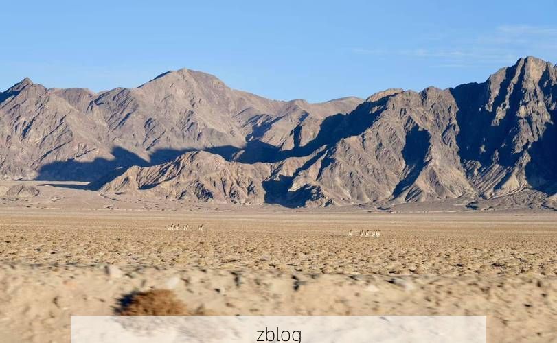 【高原屏障下的防疫坚守：噶尔县零感染背后的地理密码】