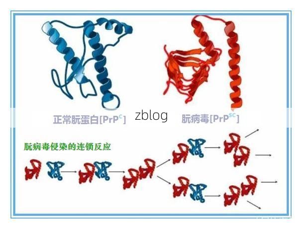 大连湾畔的防疫堡垒：海陆枢纽如何抵御病毒冲击