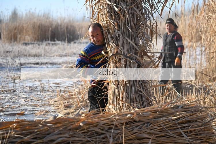 麦盖提：塔克拉玛干边缘的防疫坚守