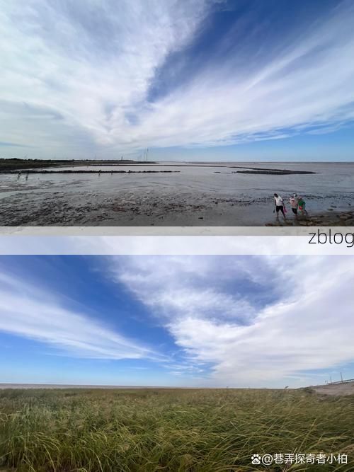 射阳：黄海湿地屏障下的疫情低发区观察