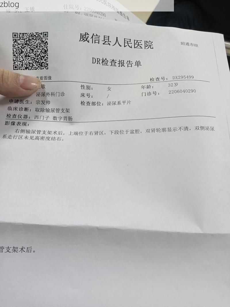 2022年3月25日炎陵新增确诊病例情况