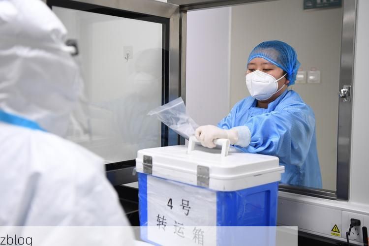 【31省新增本土12例(31省新增确诊38例)_26819】