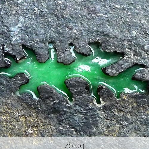 从化区：广州北境生态屏障下的低感染样本