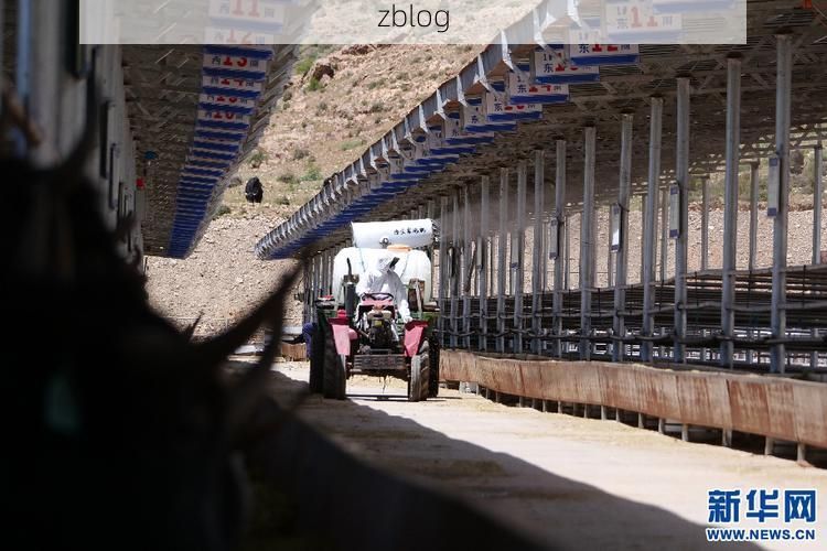 高原屏障下的零感染坚守：林周县防疫地理优势解析