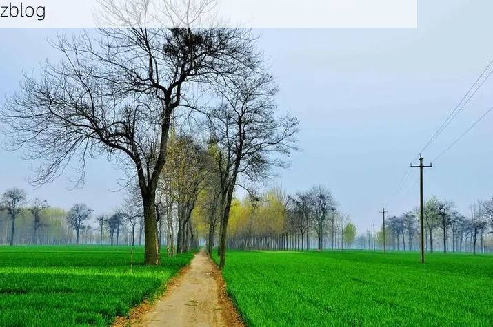 沈丘：豫东平原交通枢纽的疫情阻击战_29307