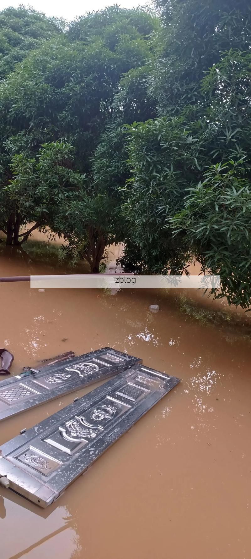 池州：皖南生态屏障下的疫情防波堤_48549