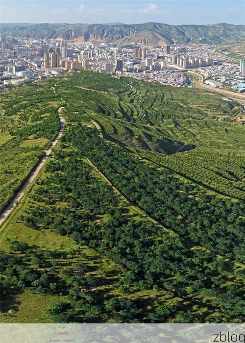 正宁疫情观察：黄土高原沟壑区如何构筑防疫屏障？