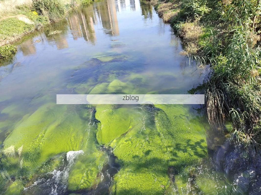 玉溪澄江：高原湖泊屏障下的低感染率观察_47643