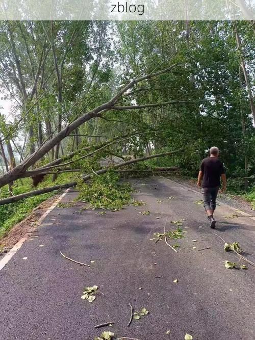 淇县疫情透视：豫北交通枢纽的防疫压力与地理屏障