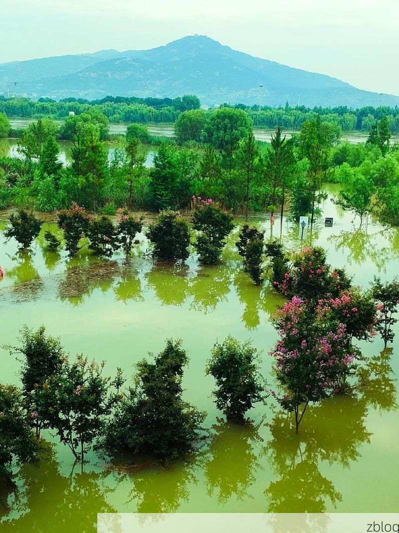 【怀远疫情观察：淮河岸边的防控突围与地理屏障】