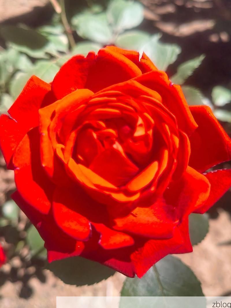 2022年3月15日宝应县新增确诊病例情况_45964