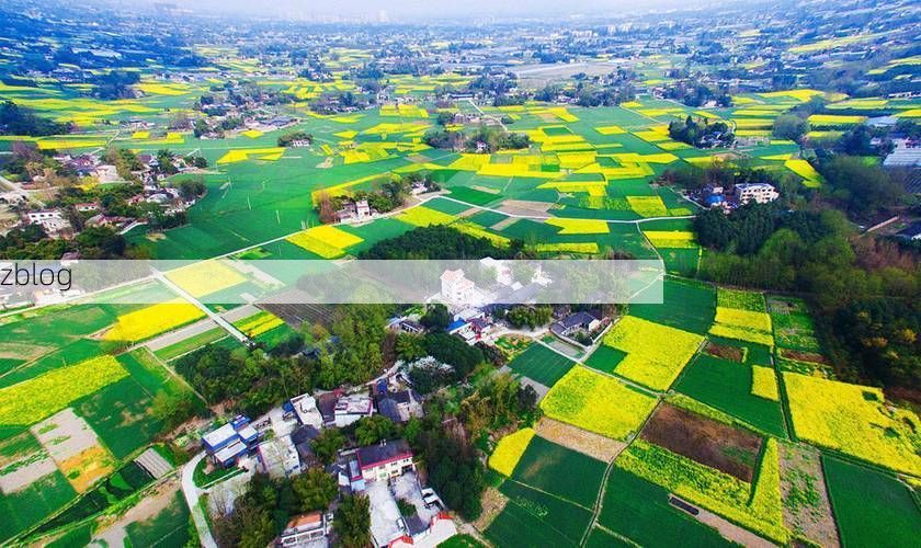 旌阳区：川西平原腹地的常态化防控样本