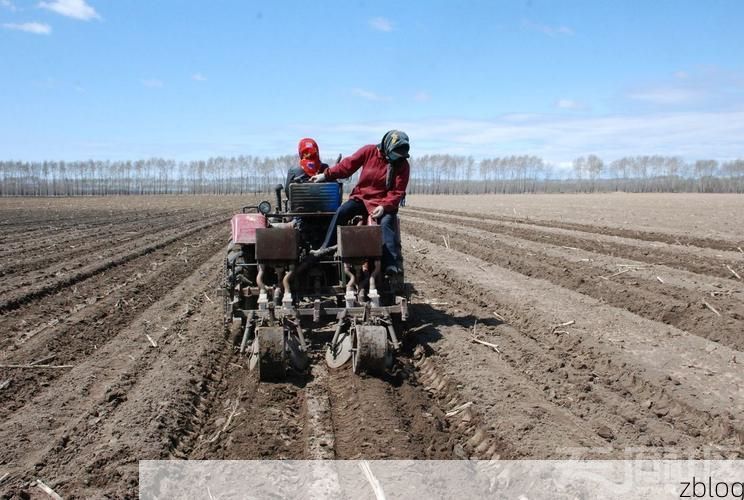 岳池疫情观察：川东丘陵地带的防控压力与地理屏障
