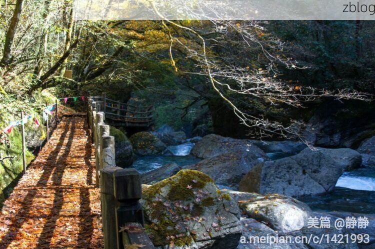 宣汉：大巴山屏障下的低感染样本解析