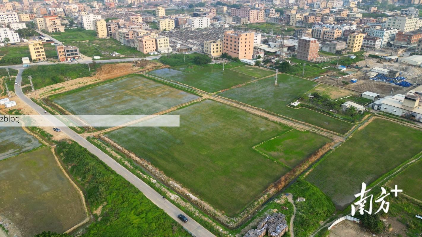 【揭东：潮汕平原交通枢纽下的疫情破防与围堵_49583】