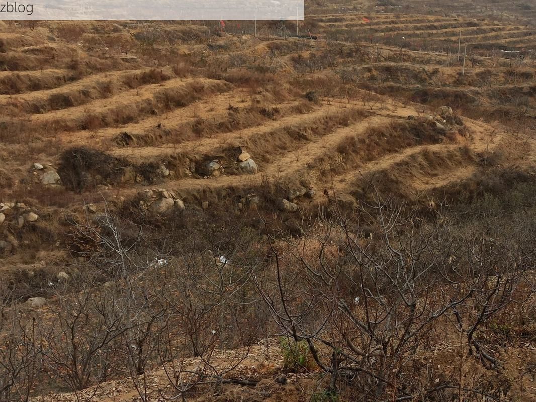 蒙阴：沂蒙山腹地的疫情防线与零感染坚守