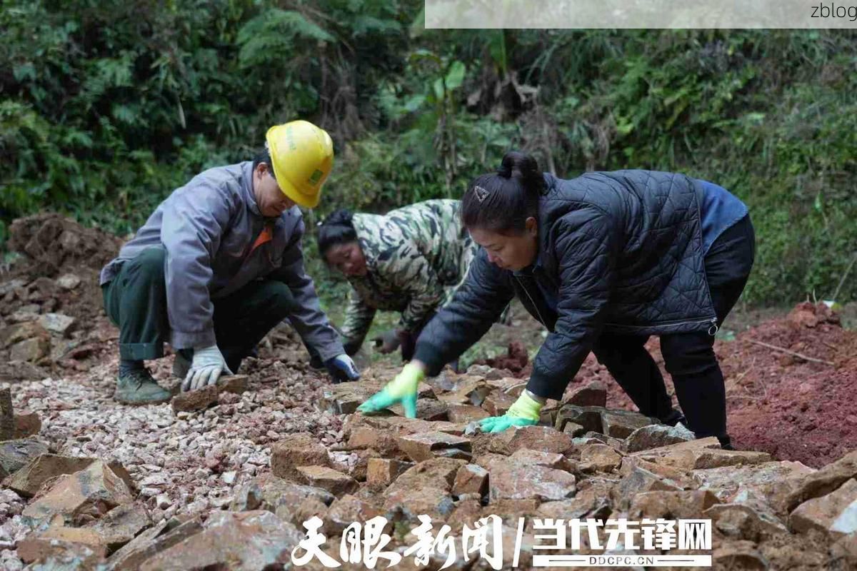 新田县：湘南丘陵屏障下的零感染坚守