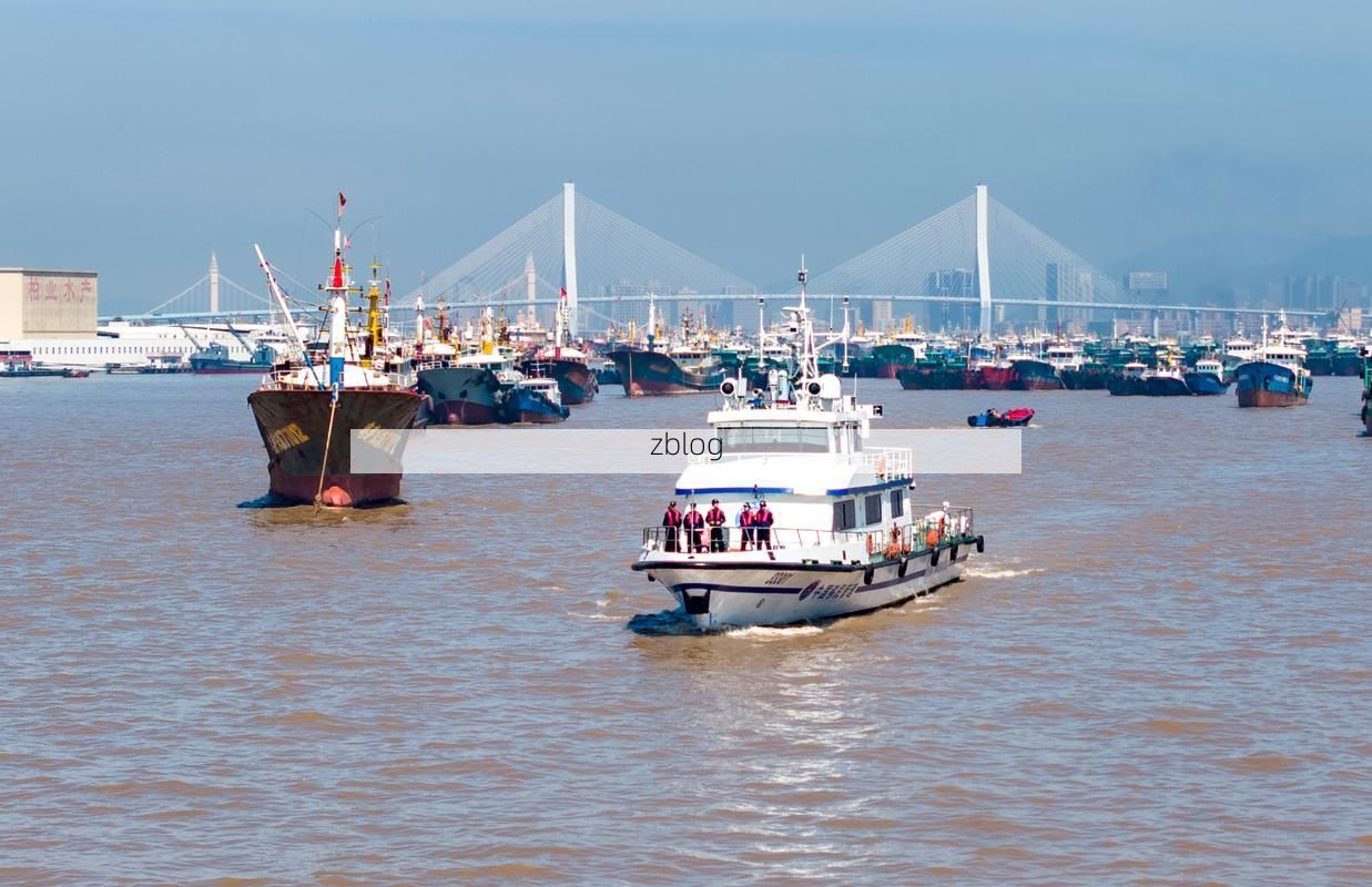 沿海小城瑞安：港口交通枢纽下的疫情防线与破口
