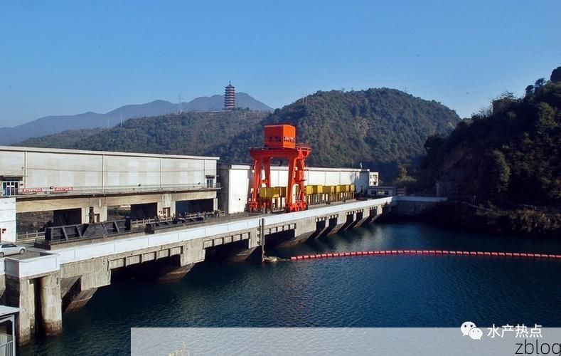 博罗：东江流域交通枢纽的疫情防线与破防时刻_32393