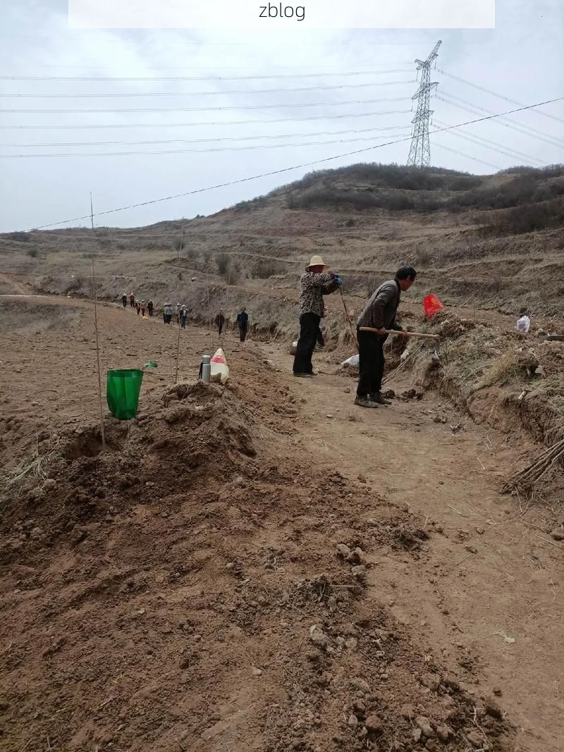 永和县：黄土塬上的防疫坚守与挑战