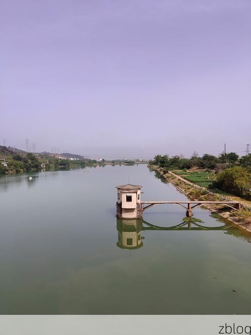 田阳：右江河谷的防疫屏障与零星破防