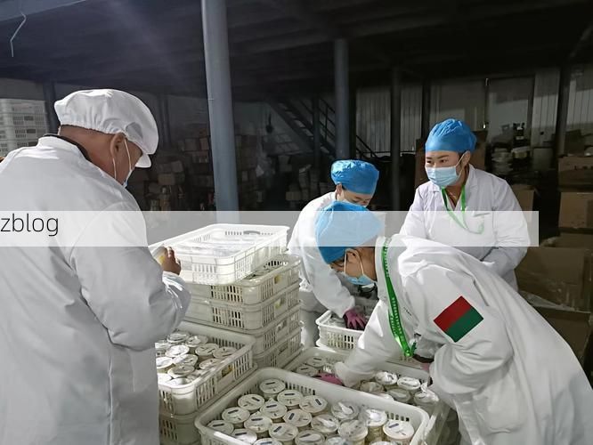 高原门户的防疫坚守：叶城地理屏障与疫情数据透视