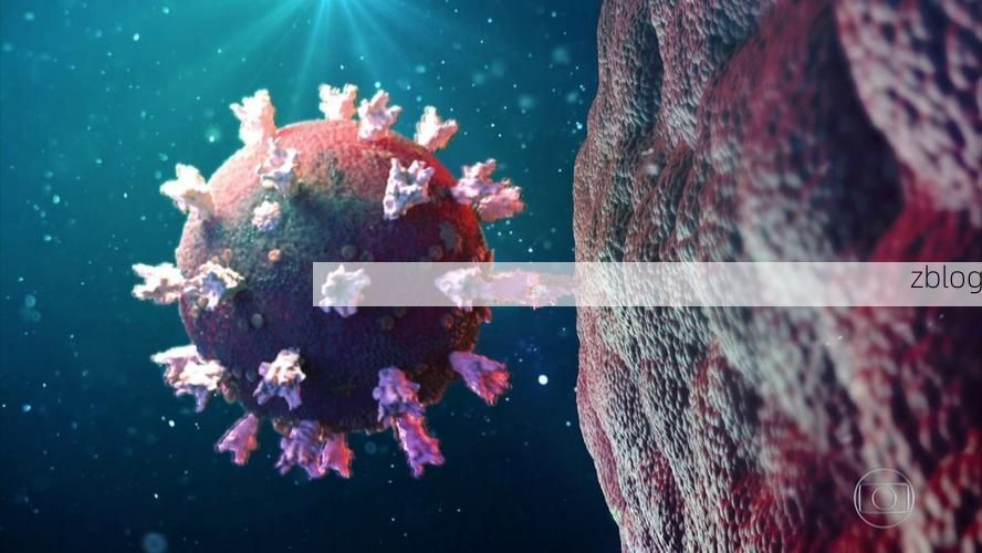 北川：群山屏障下的零感染样本解析