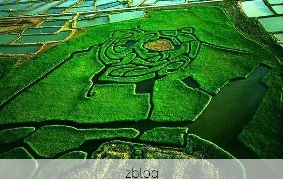 固原：六盘屏障下的低感染样本与防控逻辑