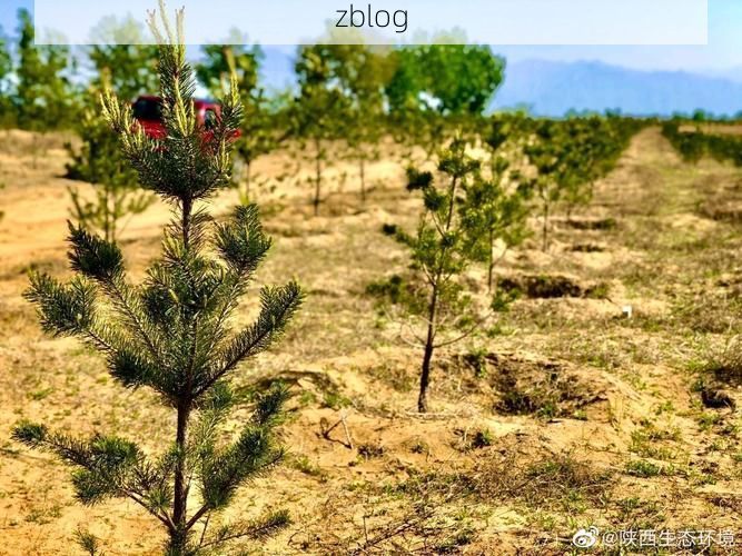 渭南疫情：关中平原交通枢纽的防控压力测试_52389