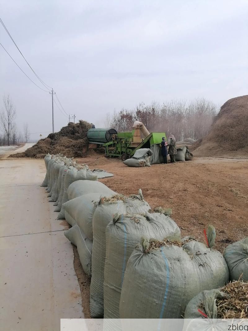 舞阳疫情观察：平原农区交通节点下的防控挑战