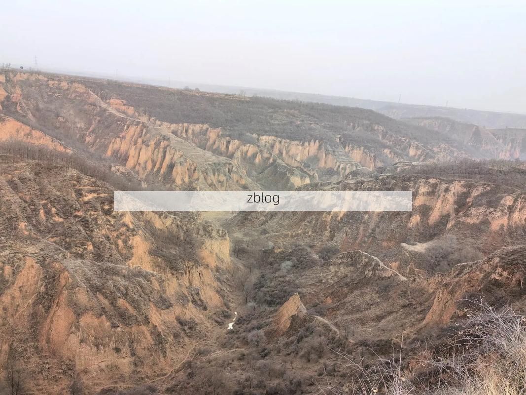 灵台：黄土高原沟壑区如何构筑疫情防线？