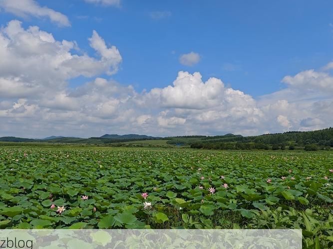【新宾满族自治县：辽东林海屏障下的零感染坚守_37061】