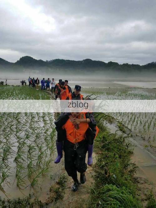 修水：赣北山城如何构筑疫情防线？_68558