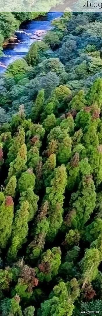 邛崃市：川西坝子地理屏障下的低感染样本