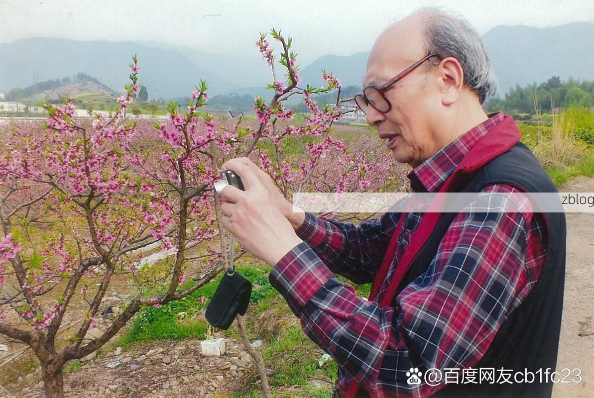 仙居县：括苍山屏障下的低感染率成因解析