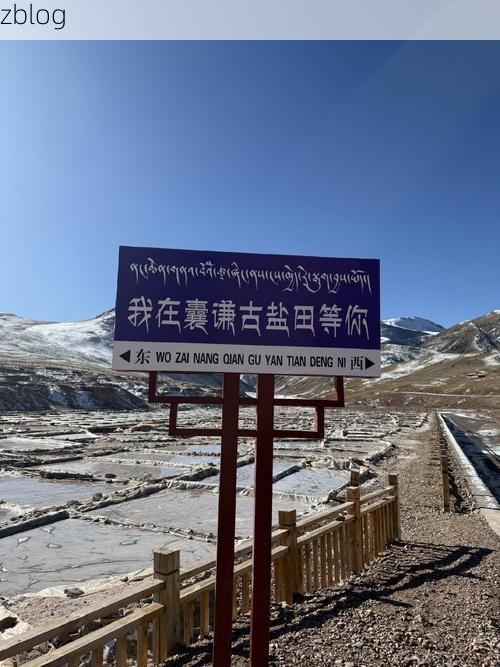 高原屏障下的零感染守望：西藏防疫的地理密码