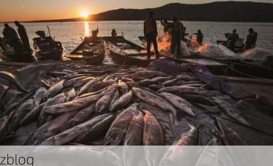 东方市疫情：热带滨海小城的防疫压力与地理屏障